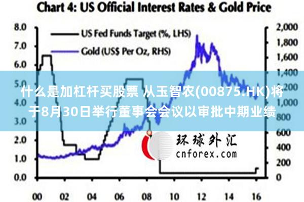 什么是加杠杆买股票 从玉智农(00875.HK)将于8月30日举行董事会会议以审批中期业绩