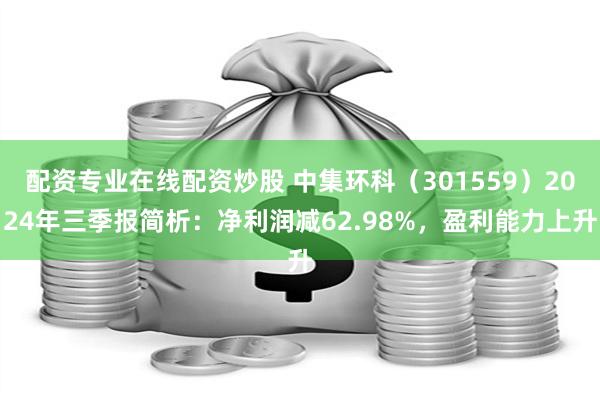 配资专业在线配资炒股 中集环科（301559）2024年三季报简析：净利润减62.98%，盈利能力上升