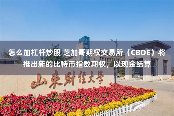 怎么加杠杆炒股 芝加哥期权交易所（CBOE）将推出新的比特币指数期权，以现金结算