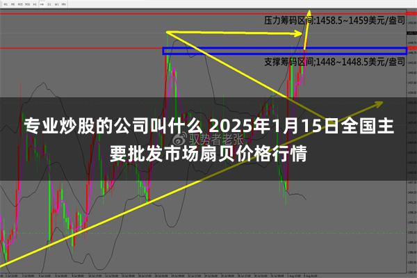 专业炒股的公司叫什么 2025年1月15日全国主要批发市场扇贝价格行情