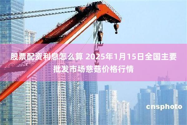 股票配资利息怎么算 2025年1月15日全国主要批发市场慈菇价格行情